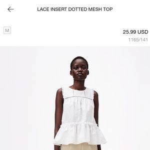 Zara Lace Insert Dotted Mesh Top